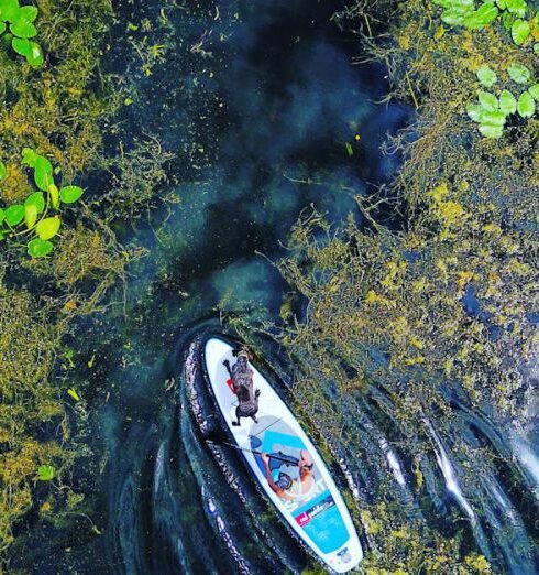 Paddleboarding - White Boat on Body of Waters Surrounded by Lilies