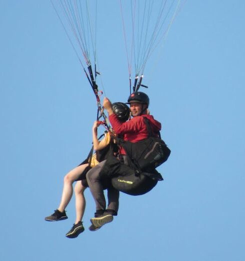 Free Activities - Paraglider flying in the blue sky on a sunny day - Paraglider soaring like a boss in the sunny blue yonder.