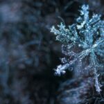 Winter - Close-up Photography of Snowflake