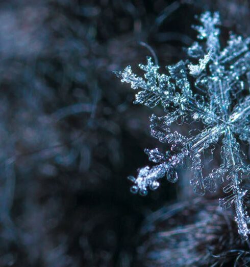 Winter - Close-up Photography of Snowflake