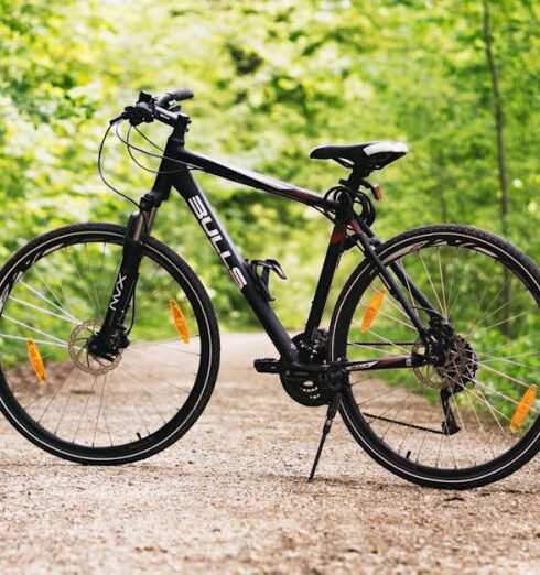 Bike - Black and White Hardtail Bike on Brown Road Between Trees