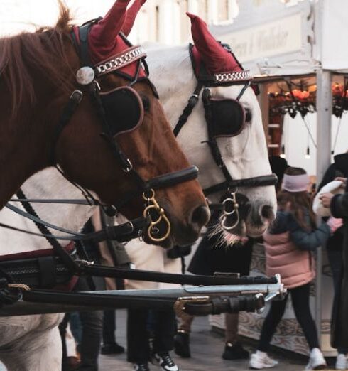 Christmas Markets - Horse in winter