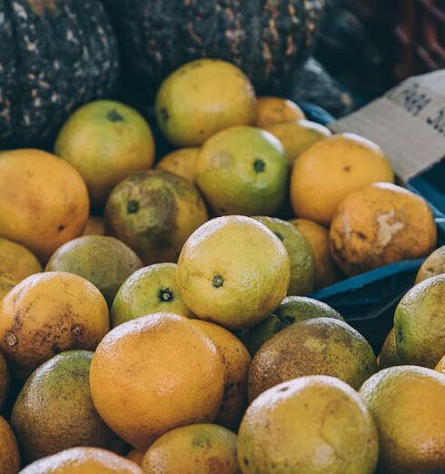 Food Markets - Photo of Orange Fruits in Trays