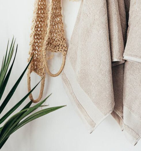 Routine - Stylish bathroom interior with houseplant on wooden table against white wall with hanging towels and set of eco friendly body care items