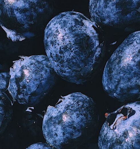 Detox - Closeup Photography Blueberry Fruits