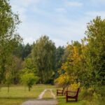 Outdoor Activities - Serene Pathway Through a Scenic Park