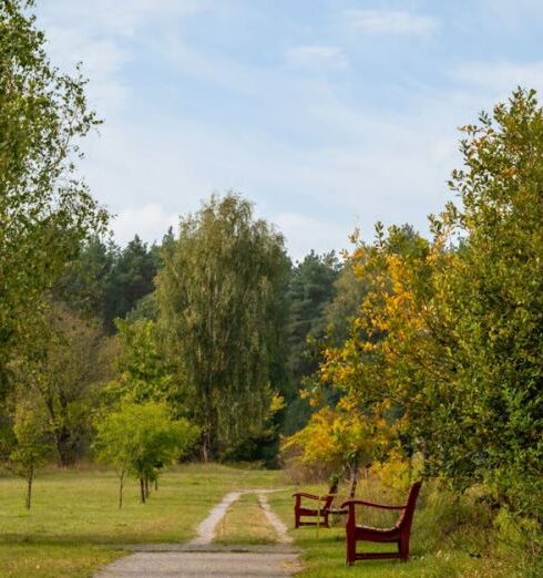 Outdoor Activities - Serene Pathway Through a Scenic Park