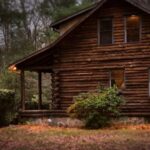 Cabin - Brown Cabin in the Woods on Daytime