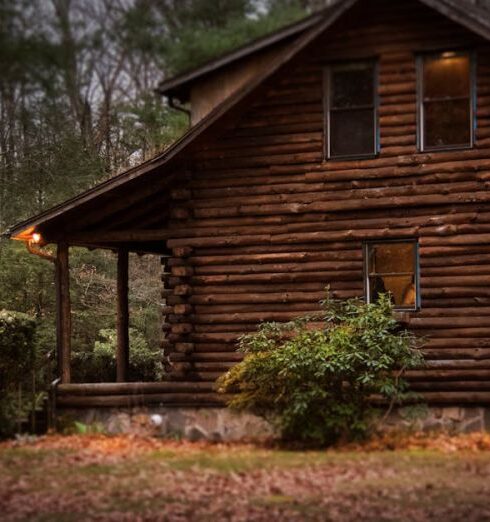 Cabin - Brown Cabin in the Woods on Daytime