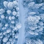 Winter - Aerial Photography of Snow Covered Trees