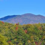 Scenic Drives - Smokey Mountains