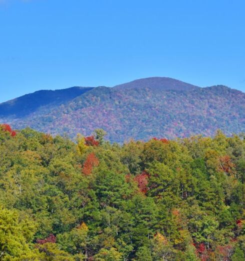 Scenic Drives - Smokey Mountains