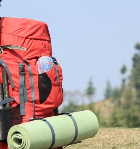 Backpack - Selective Focus Photo of Red Hiking Backpack on Green Grass