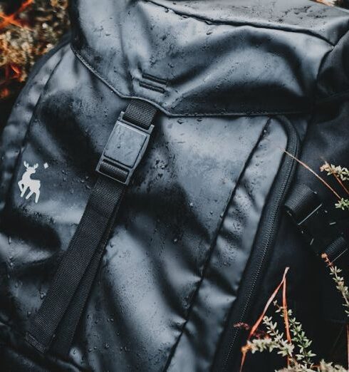 Waterproof Backpack - From above of stylish black rucksack with image on dry terrain among growing plants in forest