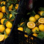 Vegetarians - A bunch of oranges in a basket with leaves