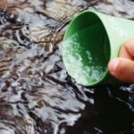 Survival - Person Scooping Water Using Green Cup