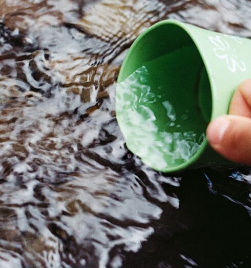 Survival - Person Scooping Water Using Green Cup