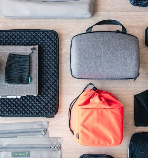 Packing Cubes - Flat Lay Of Pouches And Bags