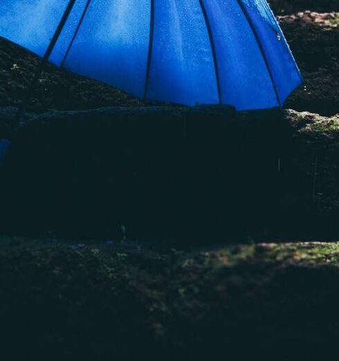 Umbrella - Blue Umbrella on Black Stairs