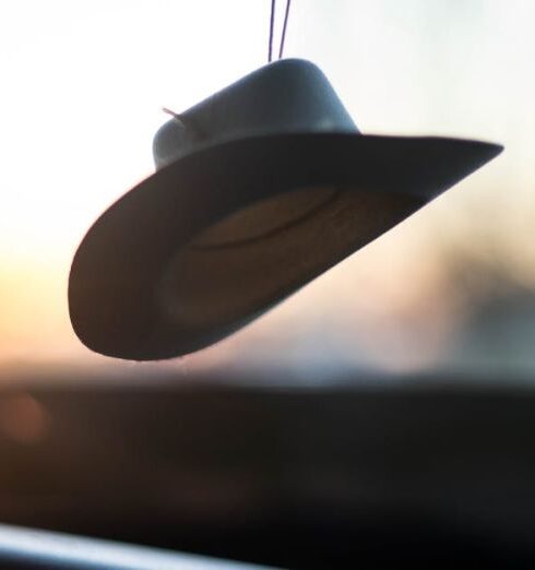 Hat - White Fedora Hat Hanged during Golden Hour