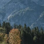 Leave No Trace - Scenic Photo Of Lake During Daytime