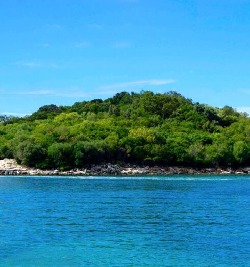 Island - Island Covered With Green Trees Under the Clear Skies