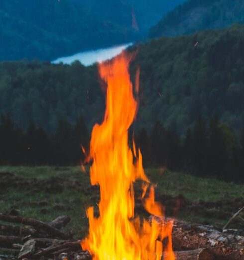 Off-the-Grid - Bonfire Near Grass Field during Dawn