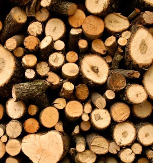 Resources - Firewood Lot