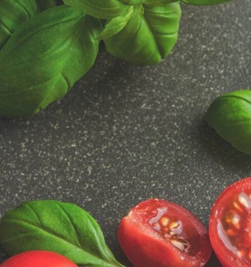 Food - Photography of Tomatoes Near Basil Leaves