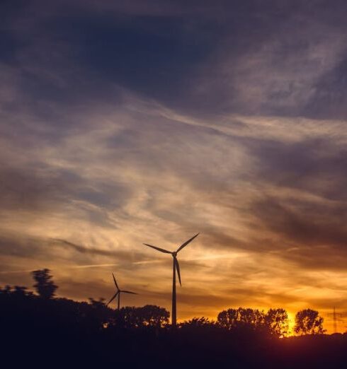 Resources - Black Windmills during Sunset