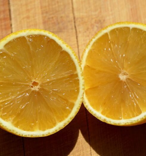 Sources - Two slices of lemon on a wooden surface