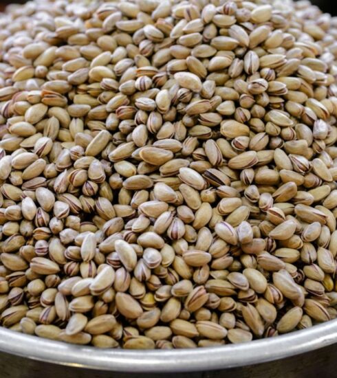 Diet - a metal bowl filled with lots of seeds