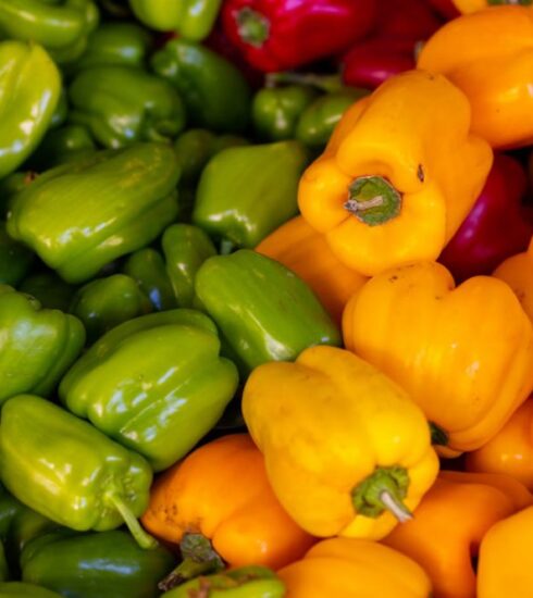 Diet - a pile of peppers sitting next to each other