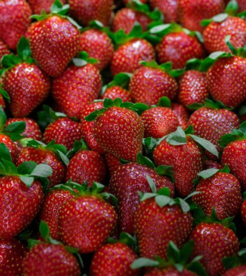 Diet - a large group of strawberries with leaves on them