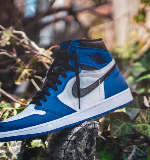 Sneakers - Blue and White Air Jordan 1 on Gray Wood Log at Daytime