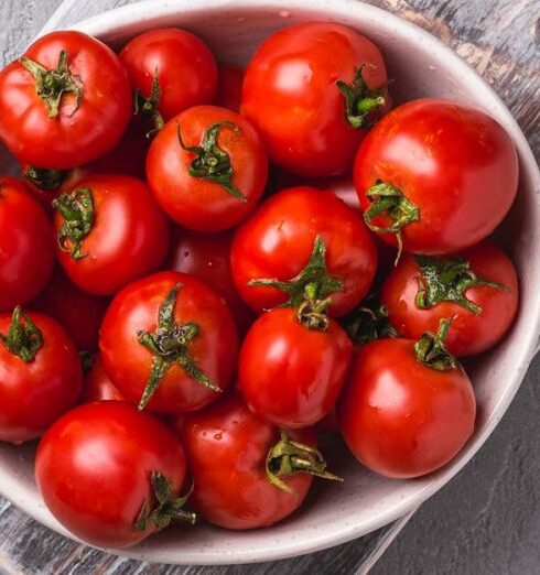 Diets - Fresh ripe tomatoes in bowl