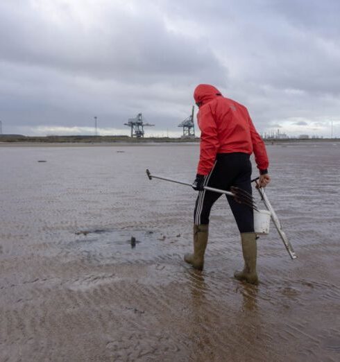 Tees - Sea fishing bait collector