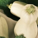 Diets - A white squash and green leaves on a white cloth