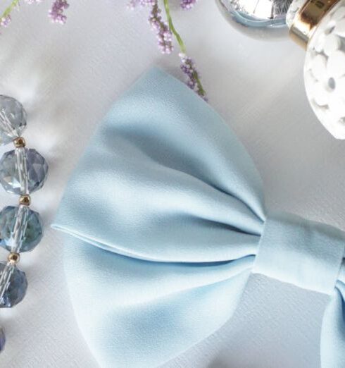 Accessories - Blue Bow Accessory