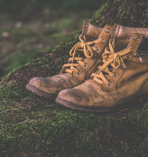 Boots - Brown Work Boots