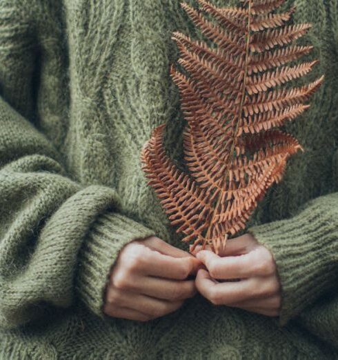 Knitwear - Woman Wearing Green Sweater Holding Dried Pine Leaf