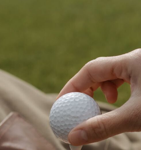 Tee - Person Holding Blue and White Egg