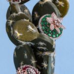 Brooches - A Cactus Sculpture on a Pot with Assorted Brooches