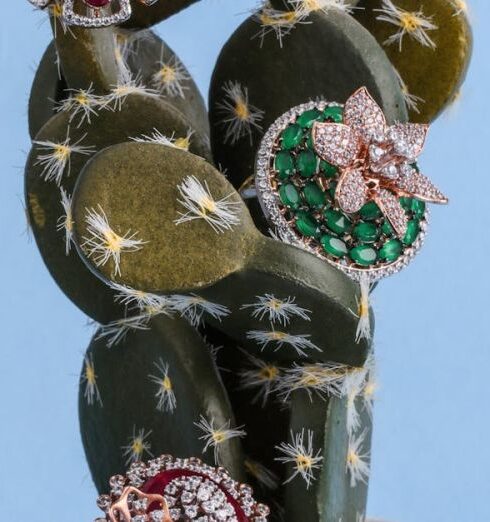 Brooches - A Cactus Sculpture on a Pot with Assorted Brooches