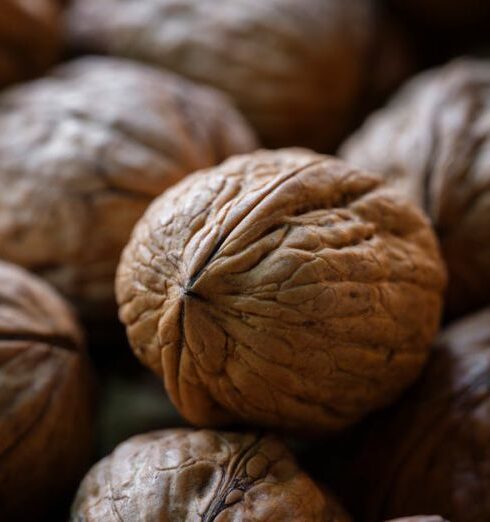 Healthy Eating - fresh walnuts at the market