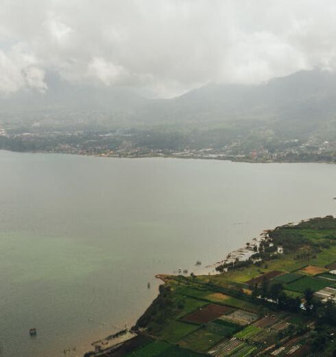 Swim Tops - Aerial View of City Near Body of Water