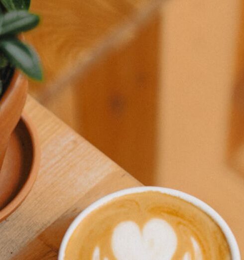 Cover-Ups - A coffee cup with a plant on a table