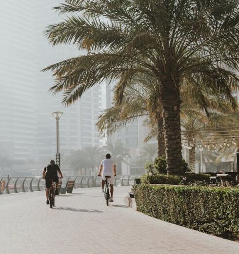 Joggers - Morning waterfront promenade with palm trees and cyclists on modern marina walkway