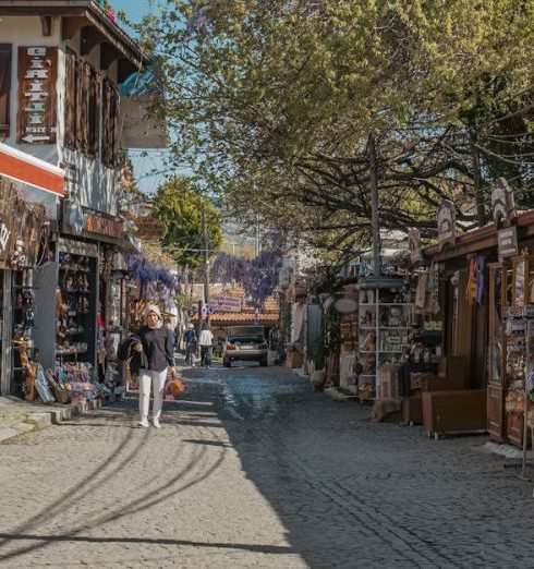 Boutiques - Street with Shops in Sirince Village