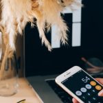 Smartphone Deals - Woman Using Calculator in Smartphone in Office